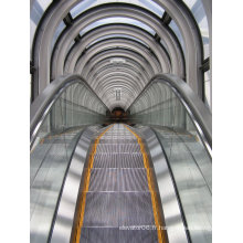 Escalator d&#39;Aksen Type d&#39;étape mince en aluminium Type intérieur et extérieur